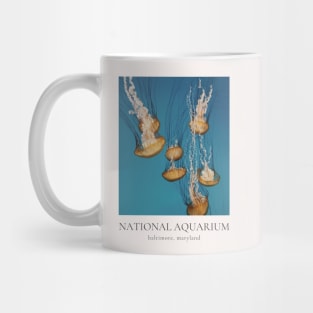 National Aquarium, Baltimore MD Mug